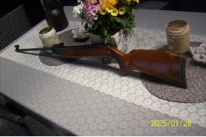 luchtbus diana  model 35